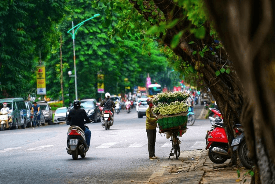 Tưng bừng mùa lễ hội cuối năm, săn 4,5 triệu vé nội địa khuyến mại cùng Vietjet